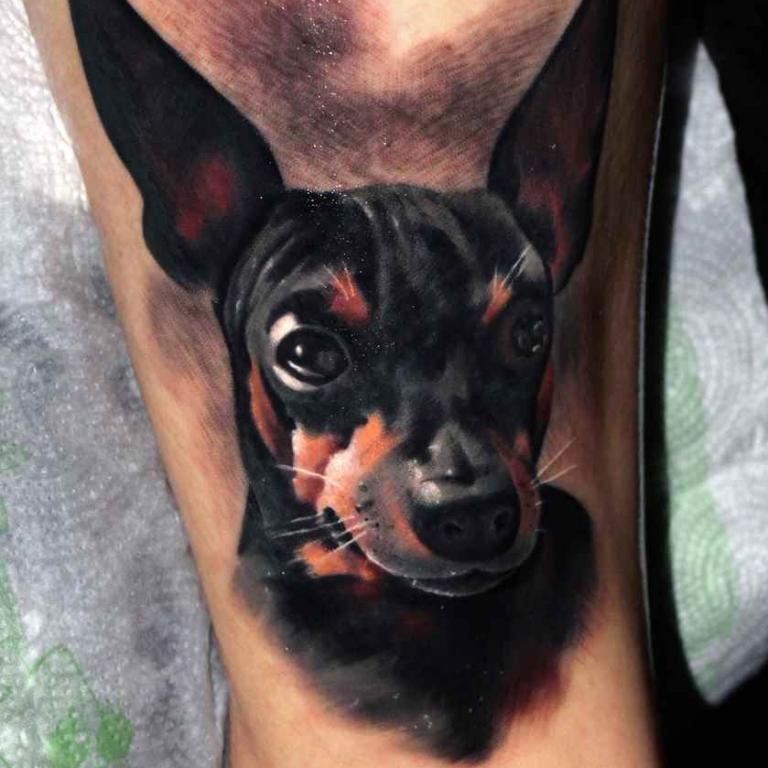 dog_salon tatuazu ursynow